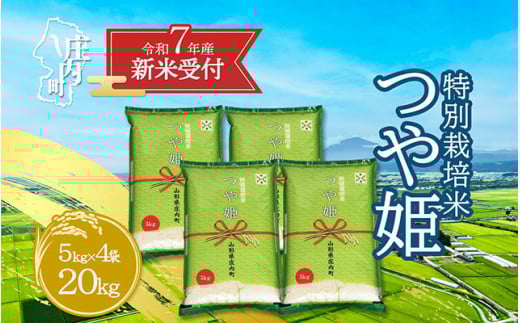 【新米受付 10月発送】R7年産 つや姫 20kg（入金期限：2025.9.15）
