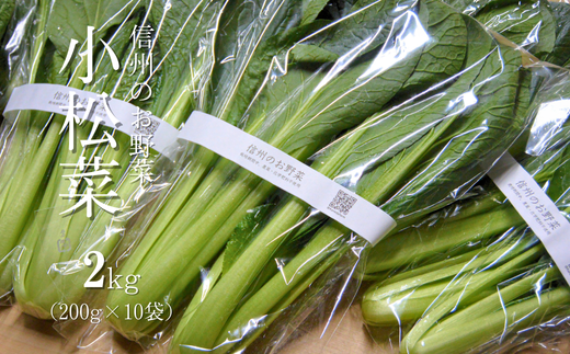 YT10-25B 金田農園 信州のお野菜 小松菜 約2kg 農薬・化学肥料に頼らず育ったお野菜 地元子どもたちの給食でも使用 