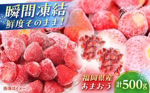 福岡県産 冷凍あまおう500g(250g×2個) ＜木村食品＞ 那珂川市 [GFR034]