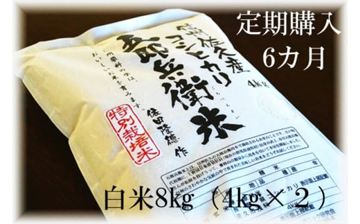 【令和7年産・白米8kg×6カ月定期便】特別栽培米　五郎兵衛米 〈2025年9月中旬頃～順次発送〉 先行予約　新米　信州　こしひかり【 長野県 佐久市 】 1409326 - 長野県佐久市