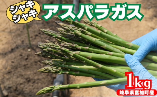 【15049】アスパラガス 1kg