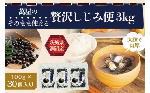 涸沼産冷凍しじみ中粒３kg（100g×30p）（シジミ 中粒しじみ 産地直送 砂抜き済み 砂抜き 小分け包装 味噌汁 みそ汁 茨城県】（CA-14）