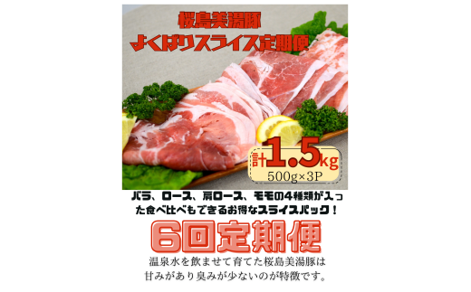 I9-0401／【6回定期便】鹿児島県産 桜島美湯豚 よくばりスライス 500g×3P（計9kg）