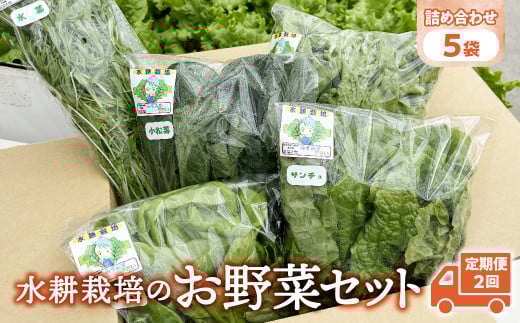 【定期便2回】【水耕栽培】野菜 詰め合わせ 合計 5袋 ( レタス チンゲン菜 小松菜 山東菜 水菜 わさび菜 ） 3 ～ 5種類 各 250g 詰合せ おまかせ セット みずみず やさい 葉物 障がい者支援 就労支援 支援 応援 福祉 岩手県 金ケ崎町 2031572 - 岩手県金ケ崎町