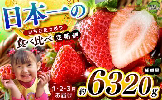 【栃木県共通返礼品】【定期便3回】【先行予約】日本一のいちごたっぷり食べ比べ定期便| 定期便 とちあいか 送料無料 いちご フルーツ 甘い ジューシー かき氷 苺 ｲﾁｺﾞ ハート ハート型 ﾊｰﾄ 断面 果物  栃木県 下野市