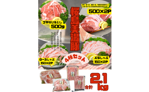 B2-0406／鹿児島県産 桜島美湯豚 4種セット 計2.1kg