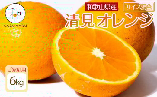 家庭用 森本農園の手選別 清見オレンジ 6kg 和歌山県産 サイズ混合 ［北海道・沖縄・離島配送不可］［RN38］［2026年2月上旬から5月中旬頃順次発送予定］ 1455668 - 和歌山県印南町