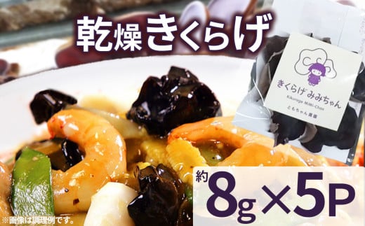乾燥きくらげ 8g×5P ともちゃん農園| 乾燥きくらげ きくらげ 贈答用 乾燥 きくらげ 食物繊維 鉄分 カルシウム ビタミンD カリウム アミノ酸  高血圧予防 ふるさと 納税 栃木県 那珂川町 送料無料 2101263 - 栃木県那珂川町