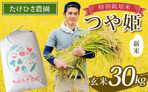 【令和7年産 新米 先行予約】 特別栽培米 つや姫 (玄米) 30kg 《令和7年9月下旬～発送》 『たけひさ農園』 山形南陽産 米 ご飯 農家直送 山形県 南陽市 [2364-R7] 2099149 - 山形県南陽市