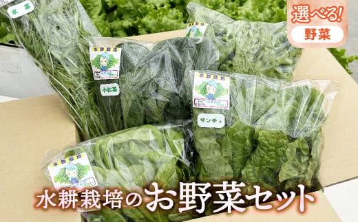 【水耕栽培】 野菜 詰め合わせ 合計 5袋 ( レタス チンゲン菜 小松菜 山東菜 水菜 わさび菜 ） 3 ～ 5 種類  詰合せ おまかせ セット みずみずしい やさい 葉物 障がい者支援 就労支援 支援 応援 福祉 岩手県 金ケ崎町 688326 - 岩手県金ケ崎町
