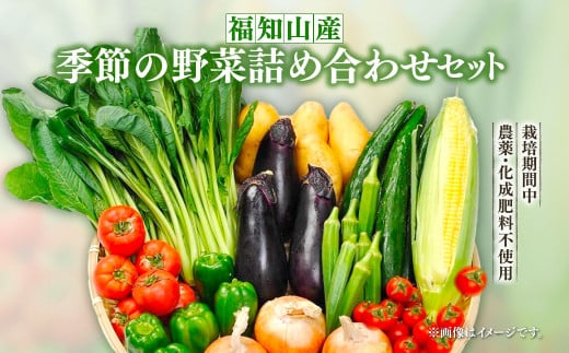 福知山産　季節の野菜詰め合わせセット /  ふるさと納税 やさい 野菜 季節 お野菜 旬 詰合せ セット 京都 京都府 福知山市 FCES004