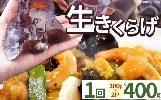 【期間限定】生きくらげ 200g×2P ともちゃん農園 | きくらげ 生きくらげ 食物繊維 鉄分 カルシウム ビタミンD カリウム アミノ酸 低カロリー ダイエット中でも安心 高血圧予防 ふるさと 納税 栃木県 那珂川町 送料無料 2098688 - 栃木県那珂川町