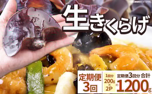 【期間限定】【定期便3回】生きくらげ 200g×2P ともちゃん農園 |定期便 きくらげ 生きくらげ 食物繊維 鉄分 カルシウム ビタミンD カリウム アミノ酸 低カロリー ダイエット中でも安心 高血圧予防 ふるさと 納税 栃木県 那珂川町 送料無料 2098690 - 栃木県那珂川町