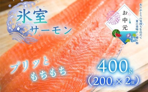 ★お中元★　氷室サーモン400g（200g×2個） 2098012 - 高知県いの町