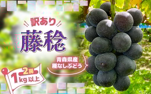 ＜訳あり＞種なしぶどう　青森県産　藤稔2房(1.0kg～1.2kg)【1613278】 2070282 - 青森県青森市