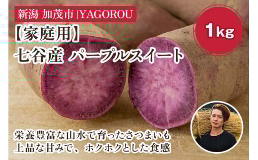 【2025年先行予約】【家庭用】パープルスイート 1kg（A品・B品混在） 新潟県加茂市七谷産 さつまいも《11月下旬〜順次発送》 サツマイモ お芋 焼き芋 スイートポテト 野菜 根菜 低温熟成 加茂市 YAGOROU ヤゴロウ