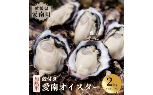 愛南 オイスター 2kg 16000円 先行予約 牡蠣 加熱用 殻付き 三倍体 真牡蠣 ブランド 特産品 お取り寄せ グルメ 大粒 濃厚 クリーミー おいしい 新鮮 ご褒美 かき パスタ アヒージョ まがき 夏 産地 直送 愛南漁業協同組合 御荘支所 愛媛県 愛南町