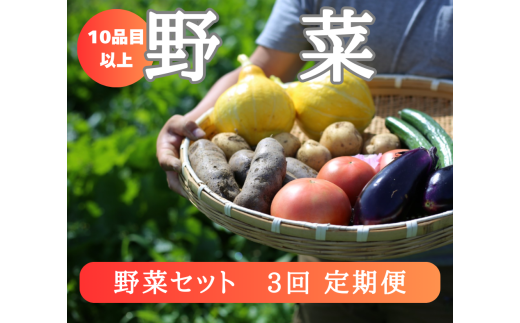 野菜バイヤーの梁川(やながわ)さんが新鮮な野菜を選んでお届けします!