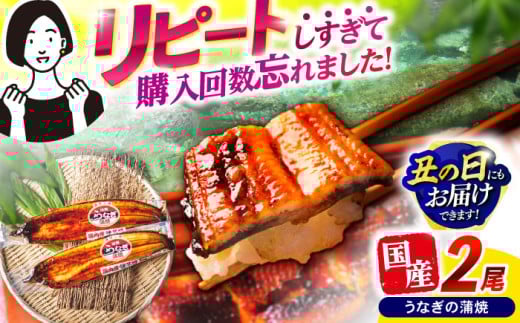 うなぎ蒲焼2尾 うなぎ ウナギ 鰻 蒲焼き 蒲焼 かばやき ひつまぶし うな重 うな丼 冷凍