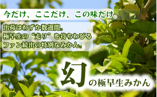 アイテムID:413116の画像3枚目