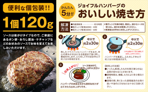 ジョイフルハンバーグ 人気の3種詰め合わせ 6個