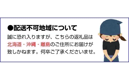 アイテムID:413116の画像6枚目