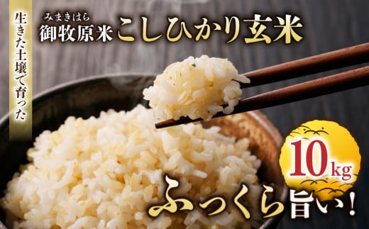 【里山JAPAN】長野県産！生きた土壌で育った御牧原米こしひかり 玄米（令和7年産）　10㎏（5kg×2袋）｜2025年10月上旬以降に発送予定