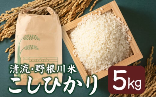 MZ002[8月中旬より発送開始]令和7年産 野根川米5kg こしひかり 米 新米 国産 コメ