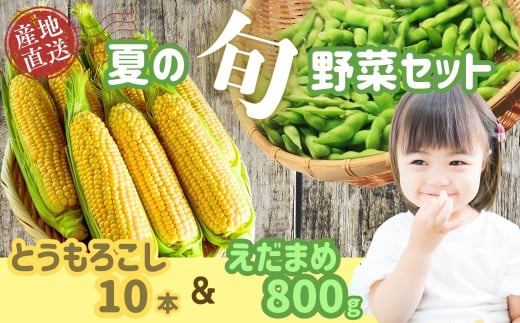【先行予約】木内ファーム 夏の旬野菜（とうもろこし・枝豆）セット(2025年7月下旬発送〜） (7-A14) 2102599 - 長野県飯山市