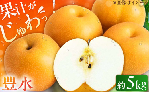 【★先行予約★ 2026年8月下旬より発送】 梨（豊水） 約5kg なし ナシ 梨 豊水 果物 くだもの 果汁 フルーツ 旬 甘い 食感 丸い 梨 なし 広川町 / JAふくおか八女農産物直売所どろや [AFAB023] 1529369 - 福岡県広川町