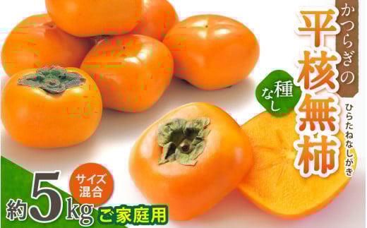 【訳あり・ご家庭用】和歌山県産 平核無柿 約5kg 【2025年10月上旬～11月上旬順次発送】 449012 - 和歌山県かつらぎ町