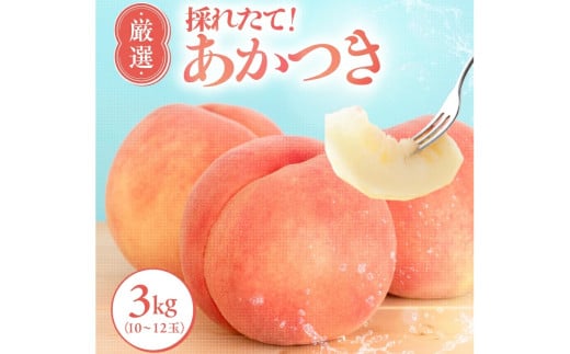 【7月下旬より順次発送】南信州産 桃 あかつき 約3kg 光センサー選果機選別品【離島沖縄配送不可】 | 果物 くだもの フルーツ 桃 あかつき モモ もも 長野県 信州 南信州 飯田市 1355812 - 長野県飯田市