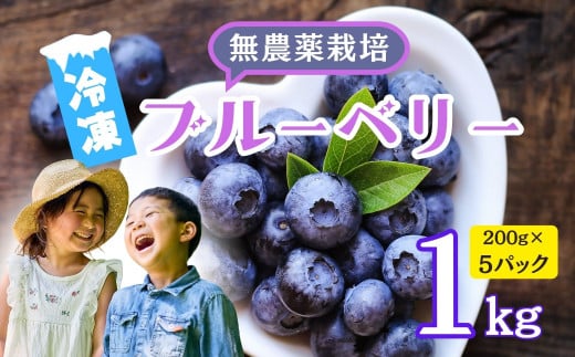 【先行予約】無農薬 完熟ブルーベリー姫<冷凍>１kg(2025年7月より発送） (7-A16)