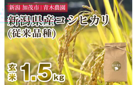 【令和7年産新米先行予約】新潟県産 コシヒカリ（従来品種）玄米1.5kg（1.5kg×1袋）《10月上旬から順次発送》 玄米 白米 きのこ農家ならではの有機質肥料 お米 新潟産 コシヒカリ 加茂市 青木農園