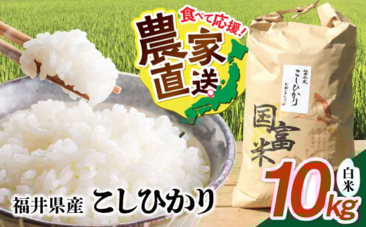 【令和7年産】 福井県産 こしひかり 白米 10kg / 米 白米 精米 小浜市 / お米のきたろう [BFBW001] 984798 - 福井県小浜市