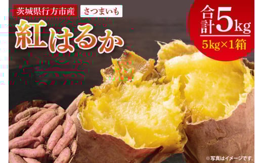 【2025年9月より順次発送】さつまいも(紅はるか) 約5kg｜さつまいも 芋 サツマイモ 紅はるか 先行予約 茨城県 行方市(HP-1) 2102445 - 茨城県行方市