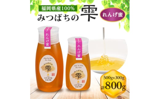 みつばちの雫　国産れんげ蜜　500g+300g【1496815】 2101156 - 福岡県大牟田市