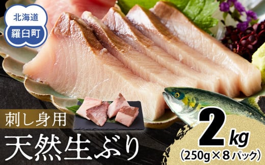 【2026年1月発送】北海道 知床羅臼産 天然ぶり刺身 2kg (250g×8パック) 魚 海産物 魚介 魚介類 ブリ 鰤 刺身 ご飯のお供 冷凍 生産者 支援 応援 1625121 - 北海道羅臼町