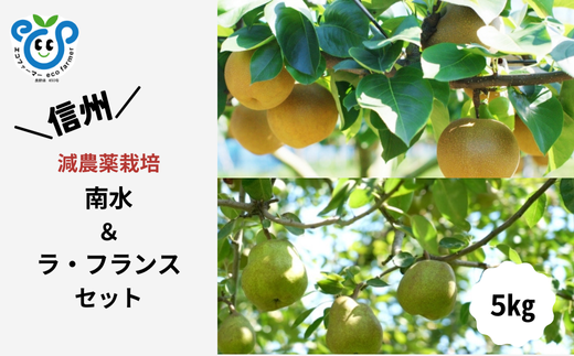 HF39-25A 【信州松川町産】 南水梨＆ラ・フランス 和梨と洋梨2種セット 約5kg ／ 10月下旬発送開始予定 / 長野県 南信州  減農薬栽培 和梨 なし ナシ 南水 洋梨 ラフランス エコファーマー認証 農家支援 HF
