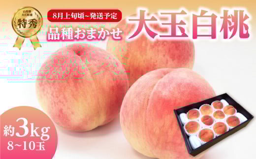 《先行受付》品種おまかせ 大玉白桃 約3kg【特秀】 （8～10玉）【2025年8月上旬頃～発送予定】 【001-100】