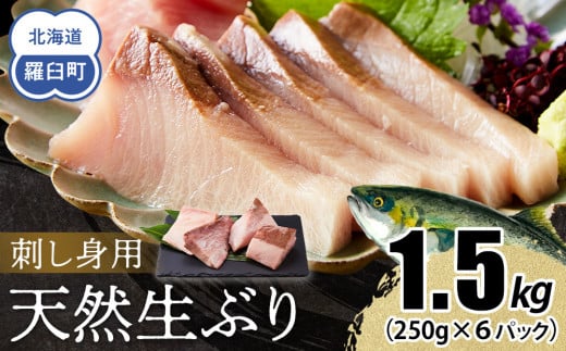【2025年12月発送】北海道 知床羅臼産 天然ぶり刺身 1.5kg (250g×6パック) 魚 海産物 魚介 魚介類 ブリ 鰤 刺身 ご飯のお供 冷凍 生産者 支援 応援 1610991 - 北海道羅臼町