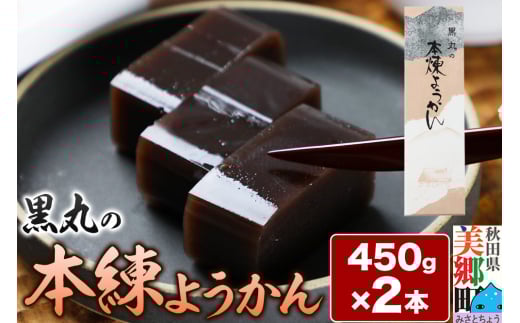 本練ようかん 2本（450g×2本） ＜ゆうパケット＞
