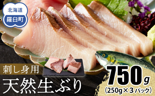 【2025年11月発送】北海道 知床羅臼産 天然ぶり刺身 750g（250g ×3パック） 魚 海産物 魚介 魚介類 ブリ 鰤 刺身 ご飯のお供 冷凍 生産者 支援 応援 1444085 - 北海道羅臼町