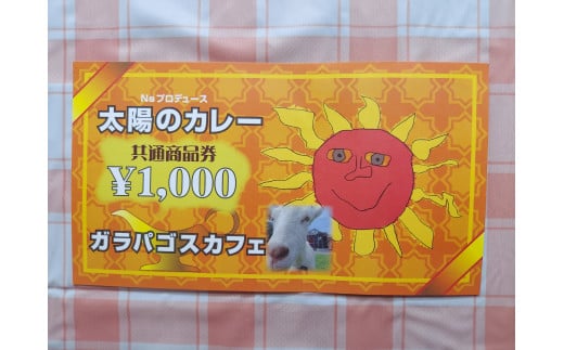 太陽のカレーキッチンカー&ガラパゴスカフェ共通商品券10,000円分 / カレー 本格カレー 商品券 / 白川町 / ガラパゴスカフェ [AWBN004]