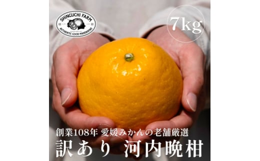 愛媛みかんの老舗＜河内晩柑 訳あり 7kg＞新口農園＜C70-45＞【1537315】 1449998 - 愛媛県八幡浜市