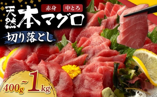 【容量選べる】 天然本マグロ 中トロ 赤身 切り落とし 400g ～ 1kg 小分け 訳あり マグロ 刺身 カルパッチョ まぐろ丼 まぐろ漬け丼 魚 惣菜 海鮮丼 魚介類 食べきりサイズ 父の日 冷凍 不揃い クロマグロ 黒マグロ 10000円