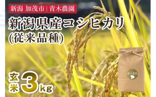 【令和7年産新米先行予約】新潟県産 コシヒカリ（従来品種）玄米3kg（3kg×1袋）《10月上旬から順次発送》 玄米 白米 きのこ農家ならではの有機質肥料 お米 新潟産 コシヒカリ 加茂市 青木農園