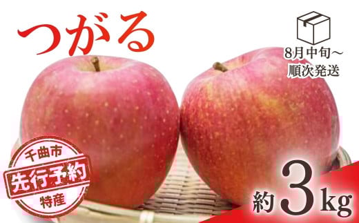 【2025年先行予約】りんご つがる 約3kg 林檎 津軽 千曲市 長野県産 信州 2037723 - 長野県千曲市