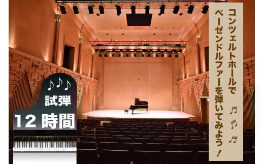 コンチェルトホール　ベーゼンドルファー　ピアノ【12時間】試弾チケット