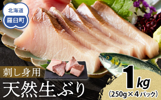 【2026年3月発送】北海道 知床羅臼産 天然ぶり刺身 1kg (250g×4パック) 魚 海産物 魚介 魚介類 ブリ 鰤 刺身 ご飯のお供 冷凍 生産者 支援 応援 1610970 - 北海道羅臼町